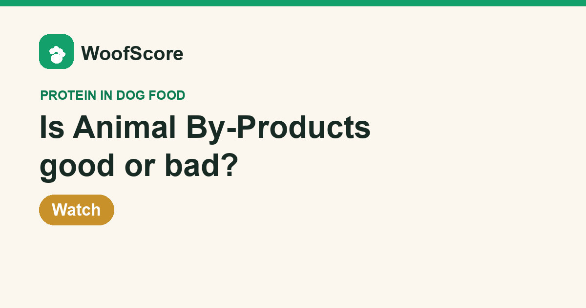 Is Animal By-Products good or bad in dog food — WoofScore rating: Watch