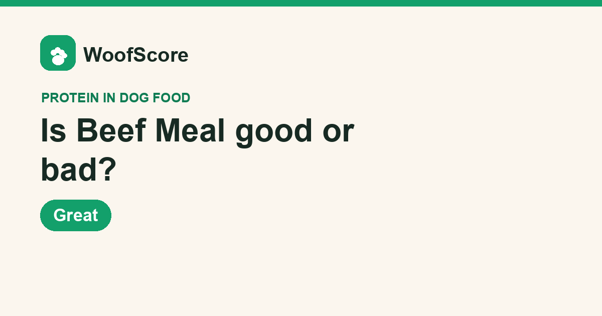 Is Beef Meal good or bad in dog food — WoofScore rating: Great