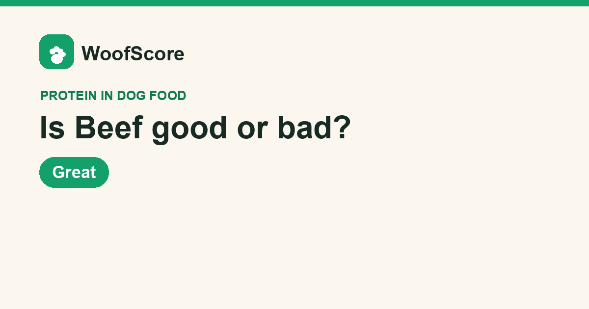 Is Beef good or bad in dog food — WoofScore rating: Great