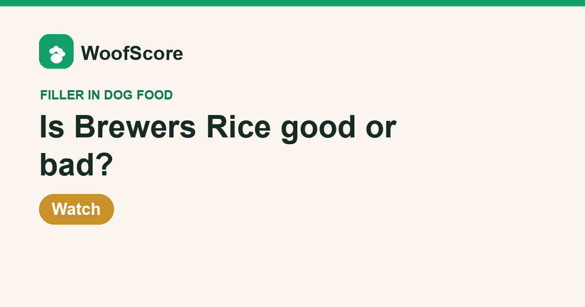 Is Brewers Rice good or bad in dog food — WoofScore rating: Watch