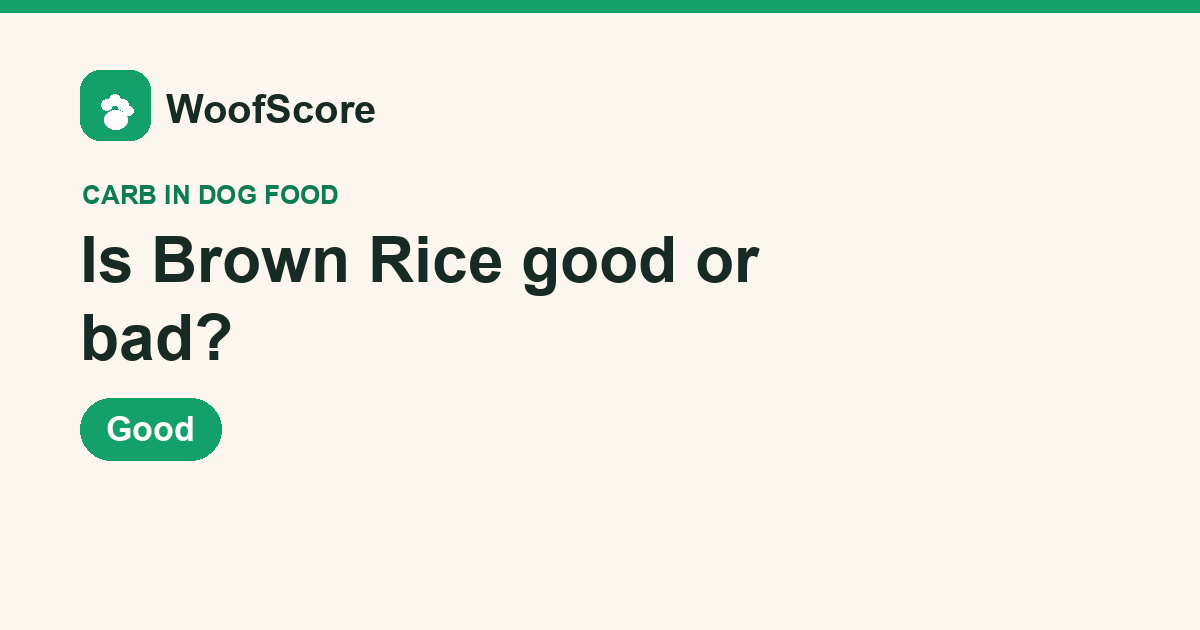 Is Brown Rice good or bad in dog food — WoofScore rating: Good