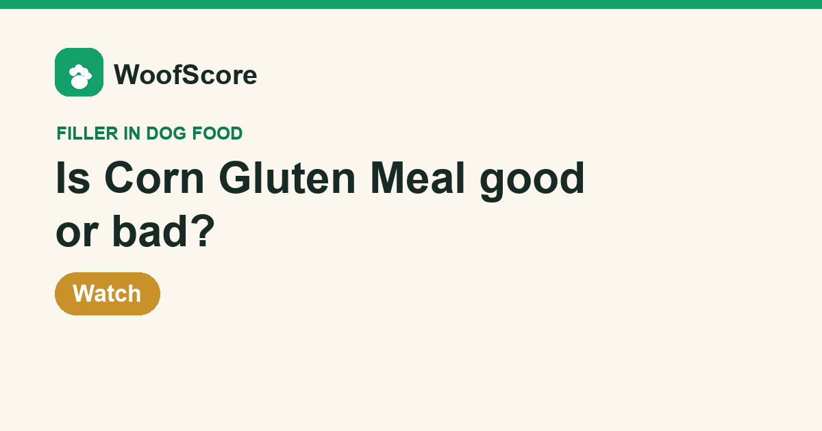 Is Corn Gluten Meal good or bad in dog food — WoofScore rating: Watch
