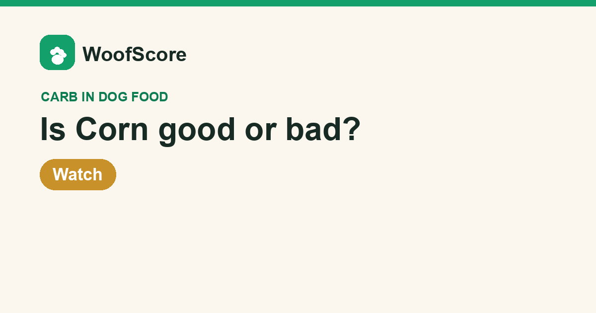 Is Corn good or bad in dog food — WoofScore rating: Watch