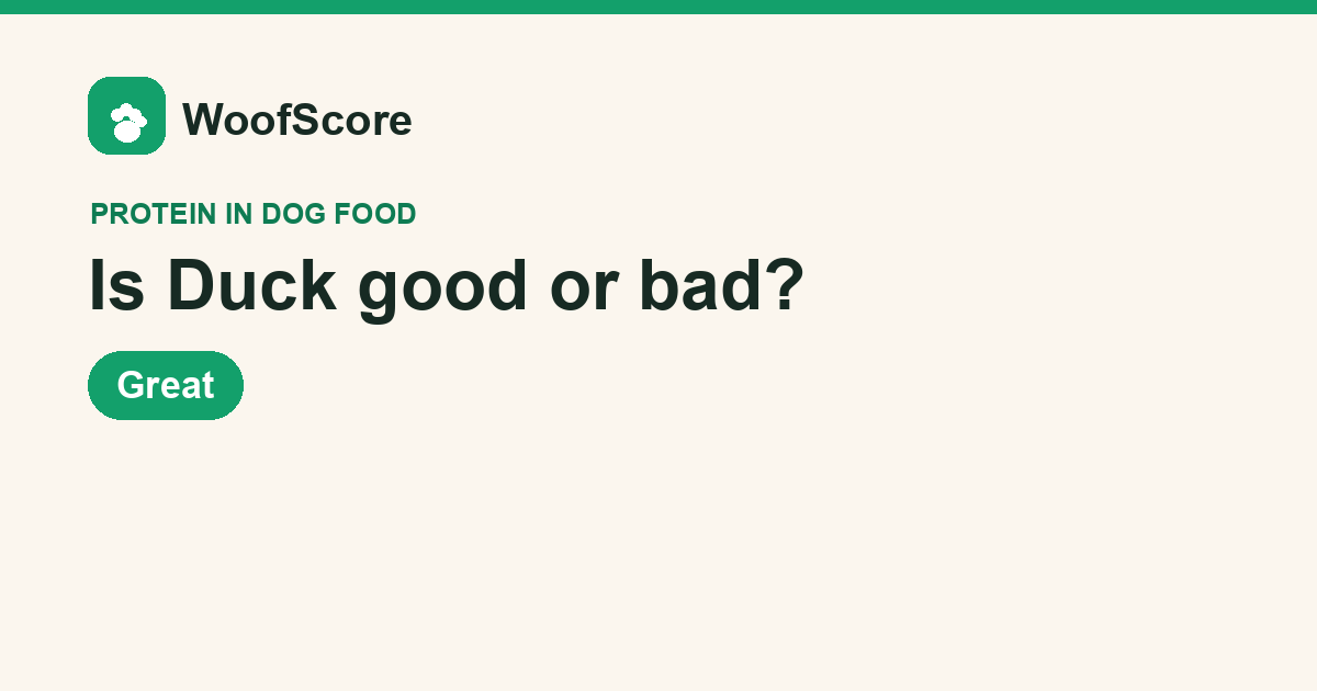 Is Duck good or bad in dog food — WoofScore rating: Great