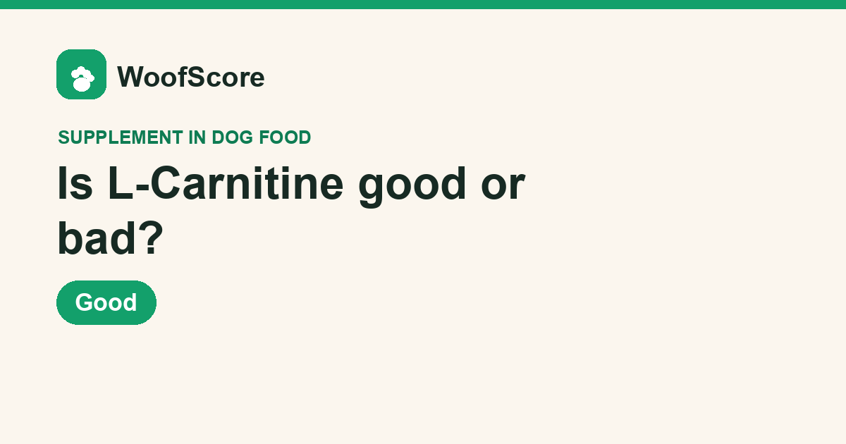 Is L-Carnitine good or bad in dog food — WoofScore rating: Good