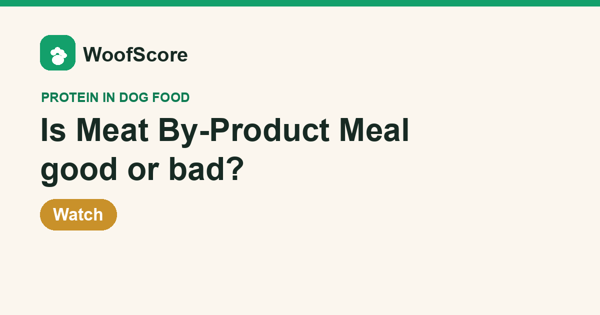 Is Meat By-Product Meal good or bad in dog food — WoofScore rating: Watch