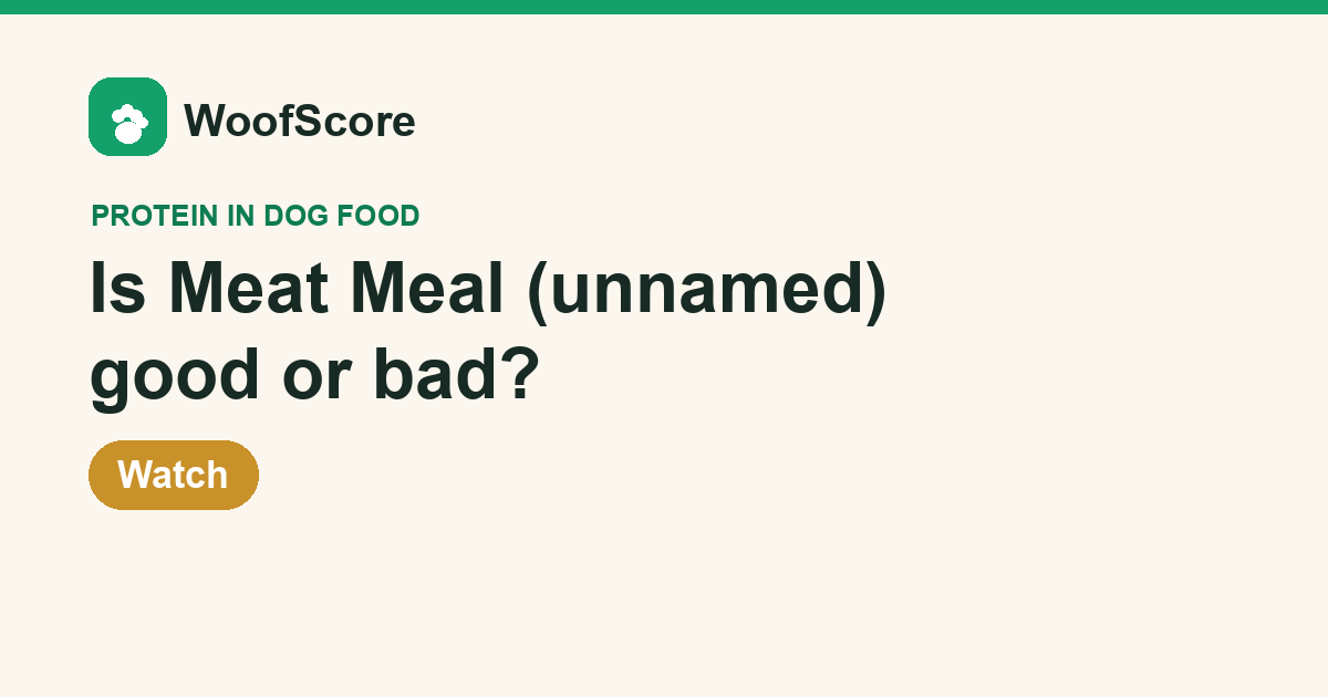 Is Meat Meal (unnamed) good or bad in dog food — WoofScore rating: Watch