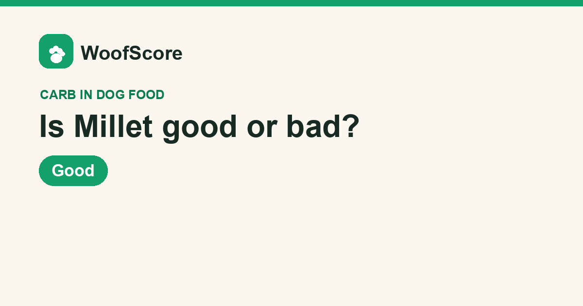 Is Millet good or bad in dog food — WoofScore rating: Good