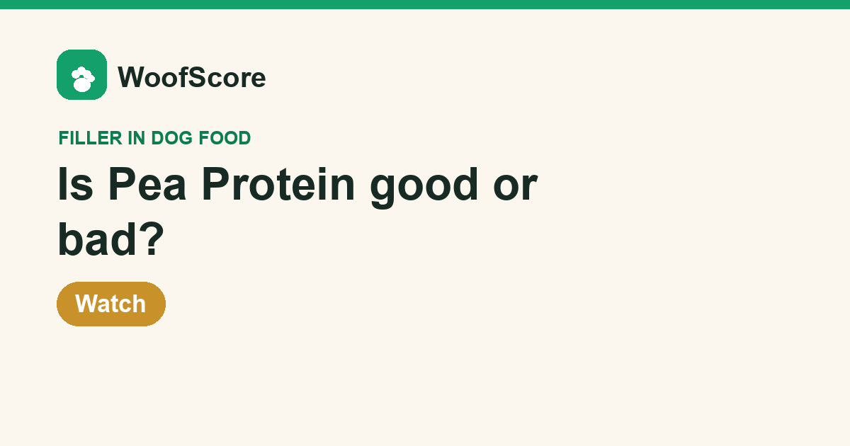 Is Pea Protein good or bad in dog food — WoofScore rating: Watch