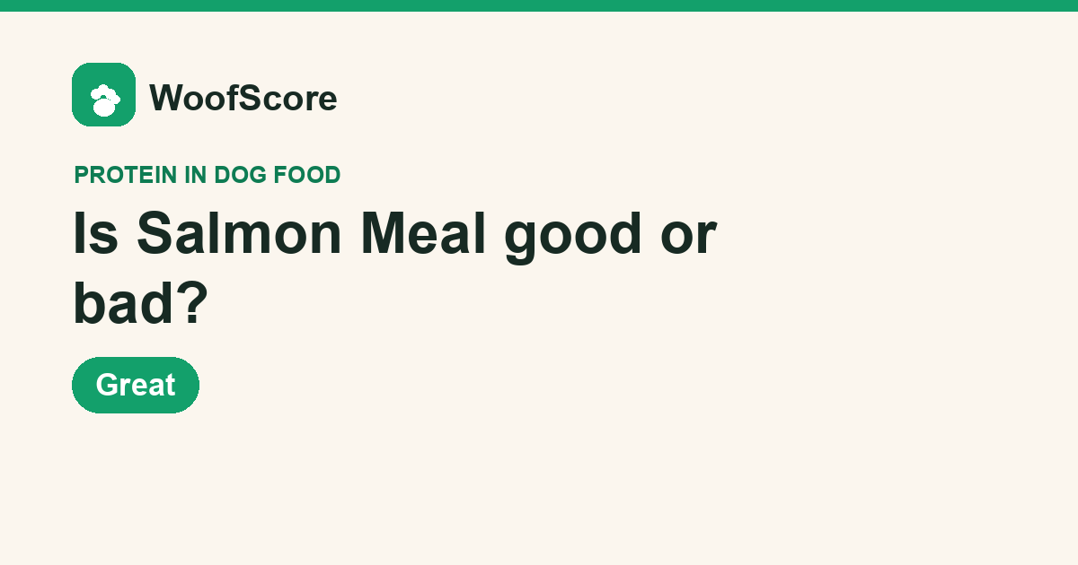 Is Salmon Meal good or bad in dog food — WoofScore rating: Great