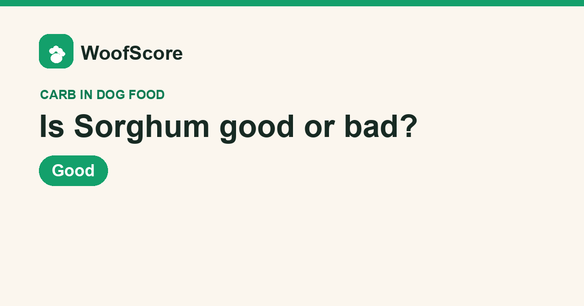 Is Sorghum good or bad in dog food — WoofScore rating: Good