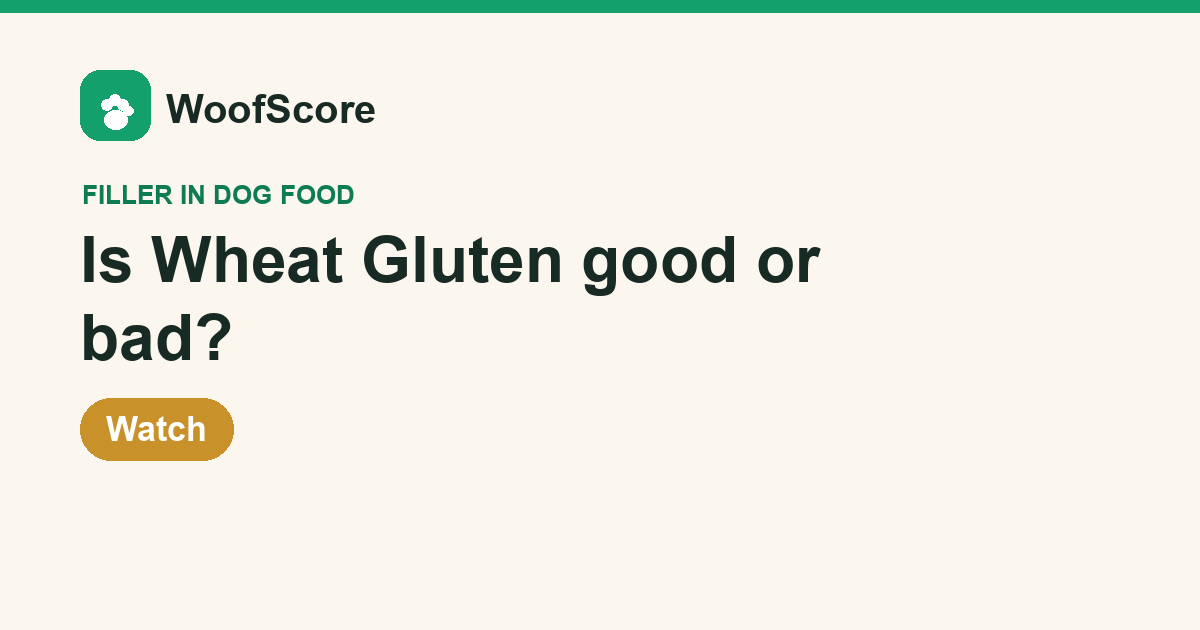 Is Wheat Gluten good or bad in dog food — WoofScore rating: Watch