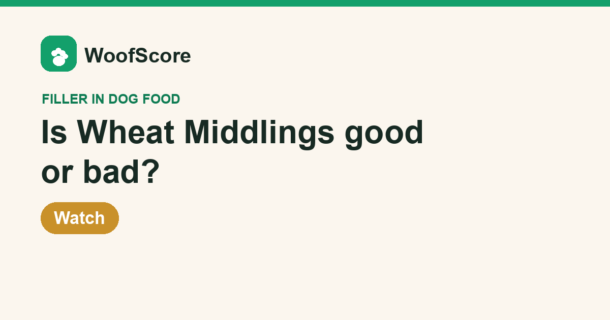Is Wheat Middlings good or bad in dog food — WoofScore rating: Watch