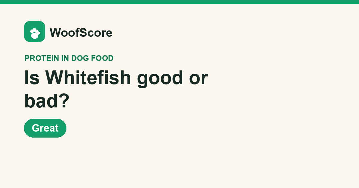 Is Whitefish good or bad in dog food — WoofScore rating: Great