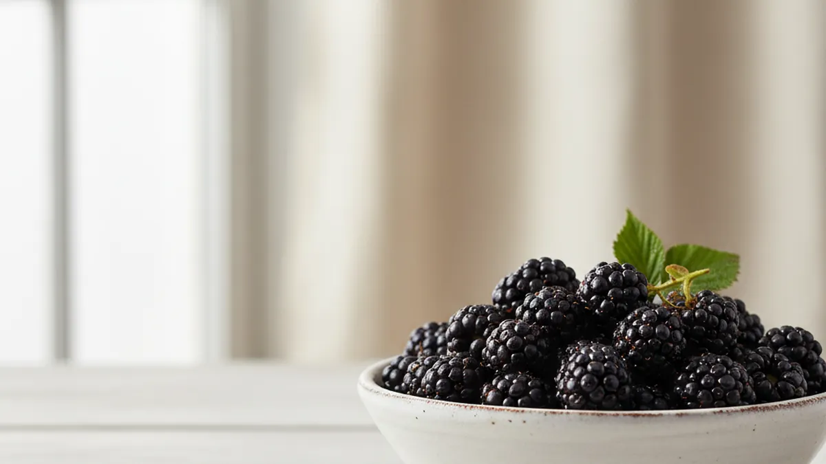 Fresh blackberries — can dogs eat blackberries?