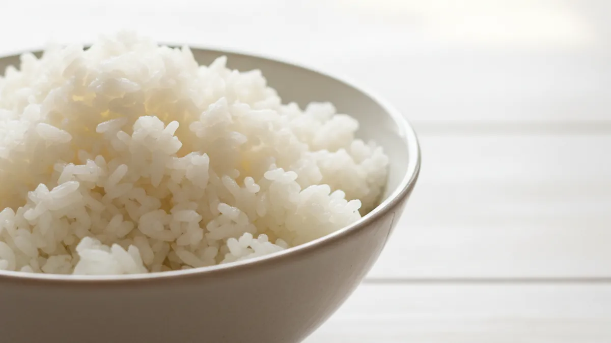 Fresh rice — can dogs eat rice?